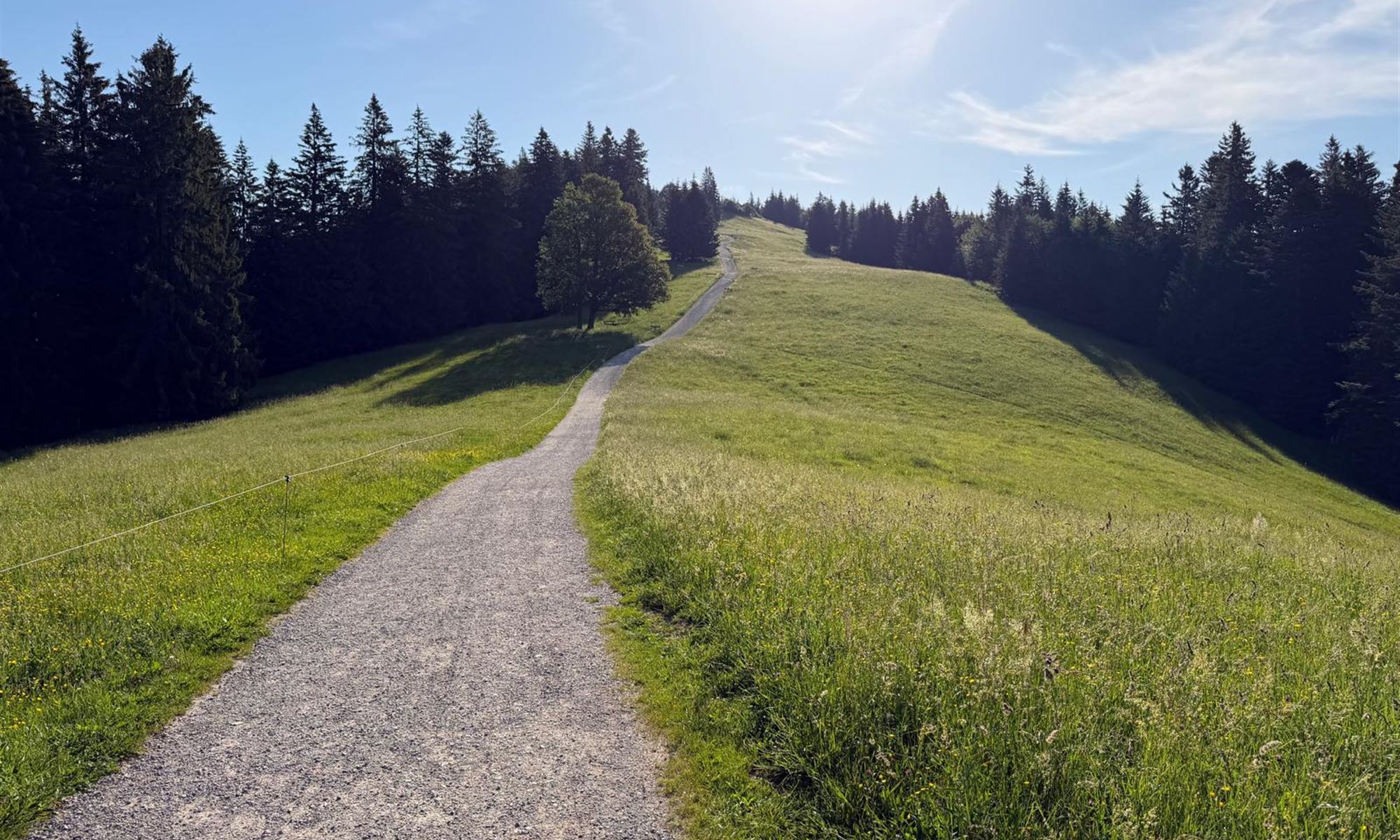 Ruhige Landschaft im Abendlicht